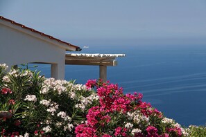 Blick vom Garten seitlich auf das Meer