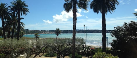 Le Jardin de la résidence face à la mer.
Ceci n est pas la vue de l'appartement.


