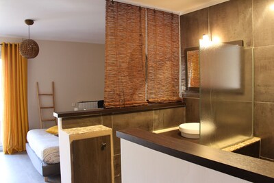 Completely renovated apartment close to Place des Prêcheurs CV