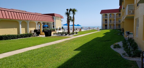 Your view from the patio with new landscaping