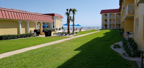 Your view from the patio with new landscaping