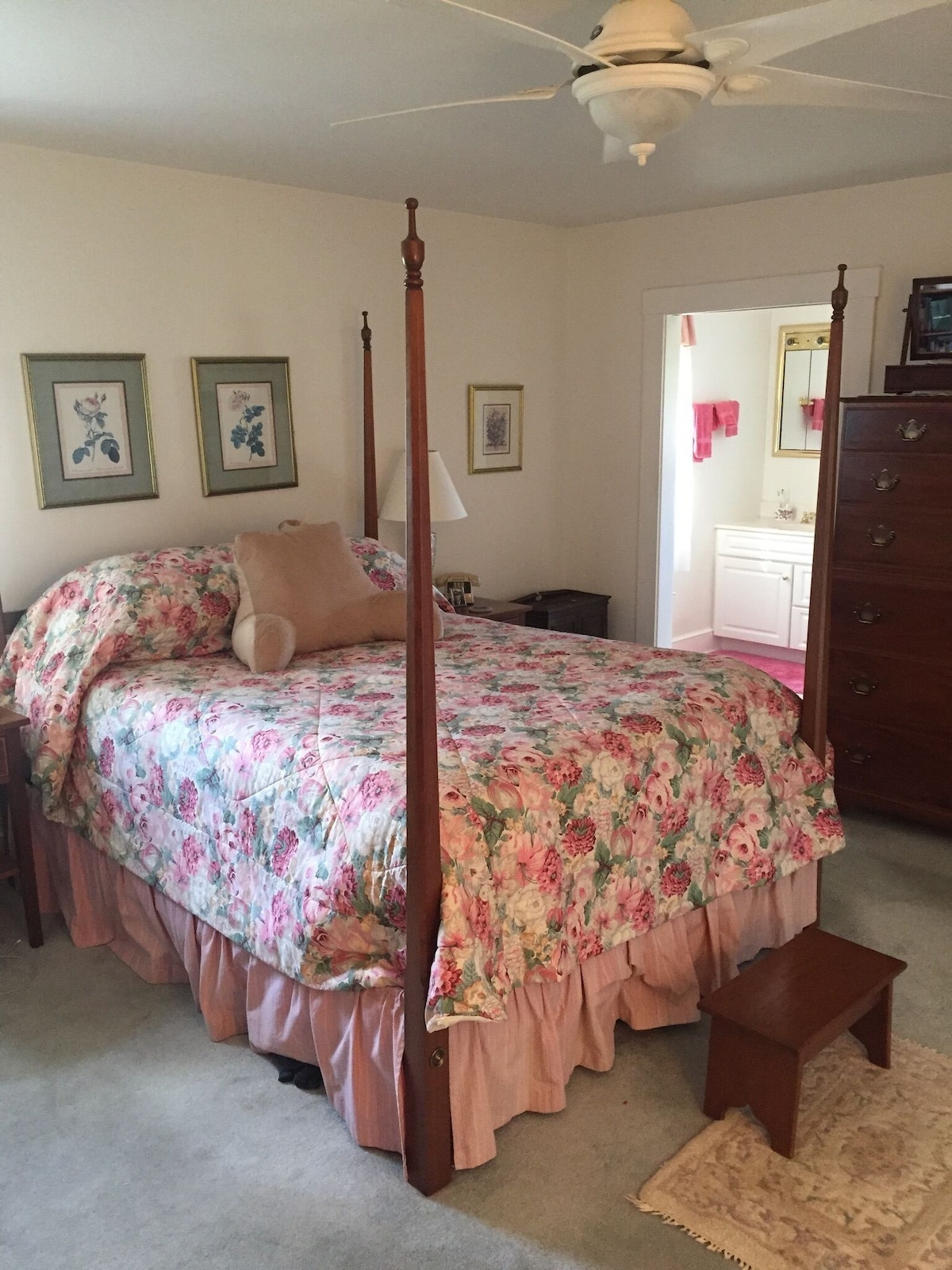 18th Century log Farm House in the heart of the Shenandoah wth all the comforts.