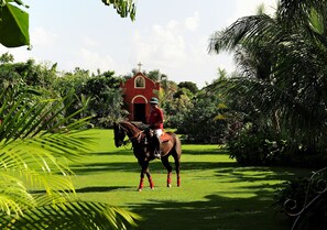 Back Garden with Chapel