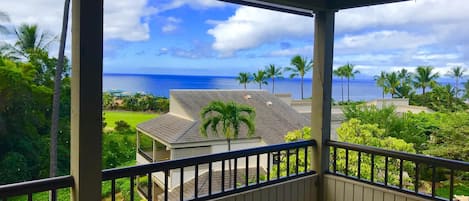 Amazing 180 view from the Lanai.
