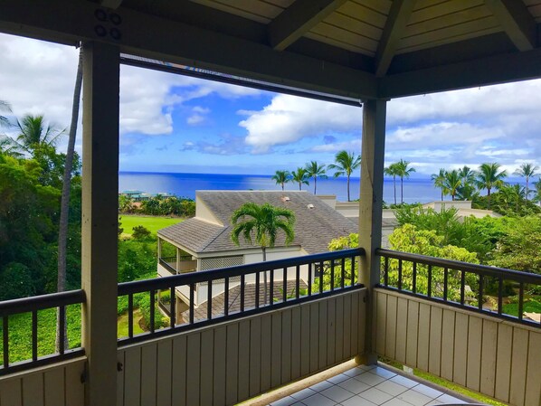 Amazing 180 view from the Lanai.
