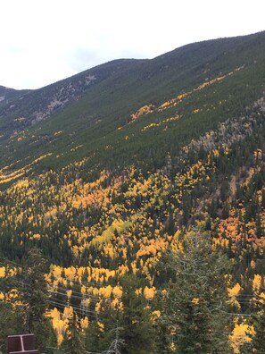 Guannella Pass in the fall