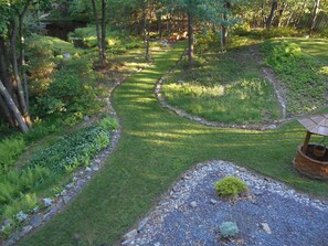 Backyard in May