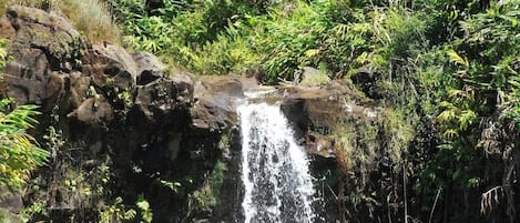 A sunny day at the waterfall and swimming hole, right in front of the house, very accessible.