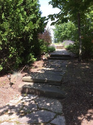 Front walkway