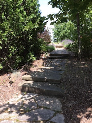 Front walkway