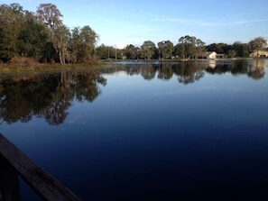 view from the dock