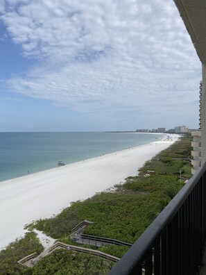 View from Balcony