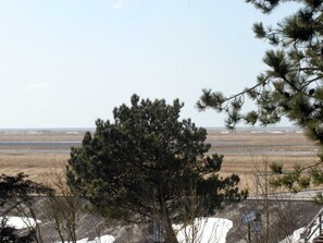 Blick auf den Deich