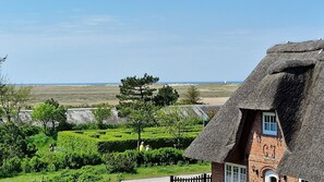 Udendørsområde