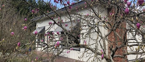 Winter view of Bird Hill Cottage