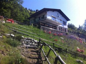 Picture 2