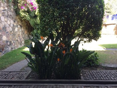 Hermosa Casa Sola y Privada con Alberca en Centro de Malinalco, México.