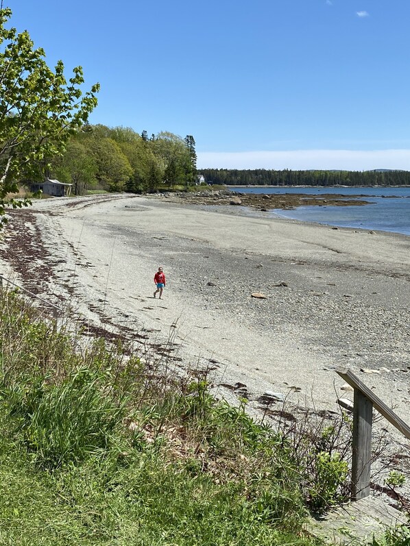 Beach

