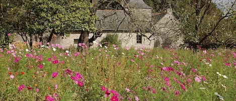 View of the Manoir from the adjacent Field of Flowers