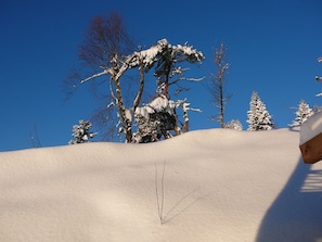 Wintersport/Ski