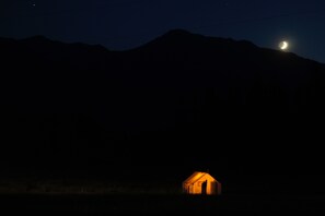 Home on a summer night 