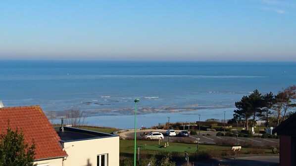 Beach/ocean view