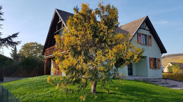 Exteriör