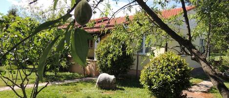 Jardines del alojamiento