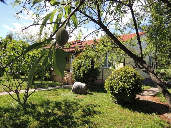 Bungalow Lavanda 