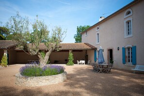 courtyard with lavender and olive tree