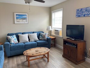 Living Room with Queen Pull out sleeper