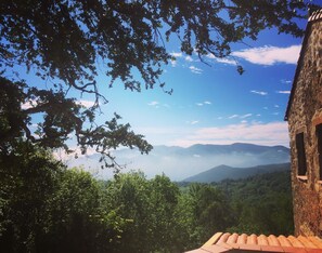 View from breakfast terrace