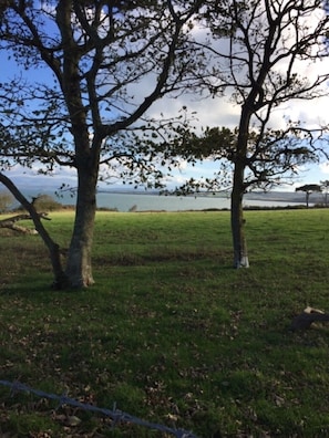 Part of the Coastal path