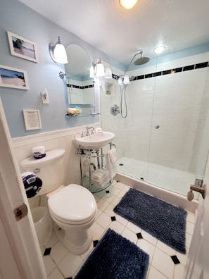 Guest bathroom