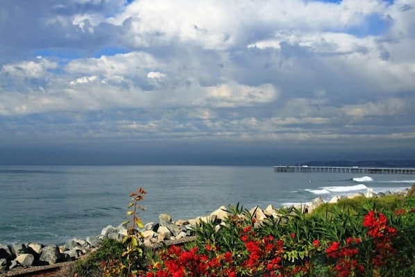 Spectacular Beachfront Ocean Views from Single Story Luxury Home & Decks