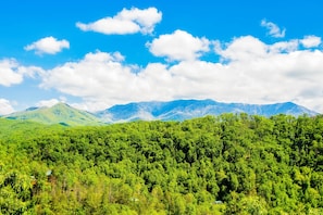 Enjoy a gorgeous view of the Smoky Mountains from the back deck!