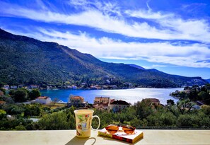 TERRACE VIEW
