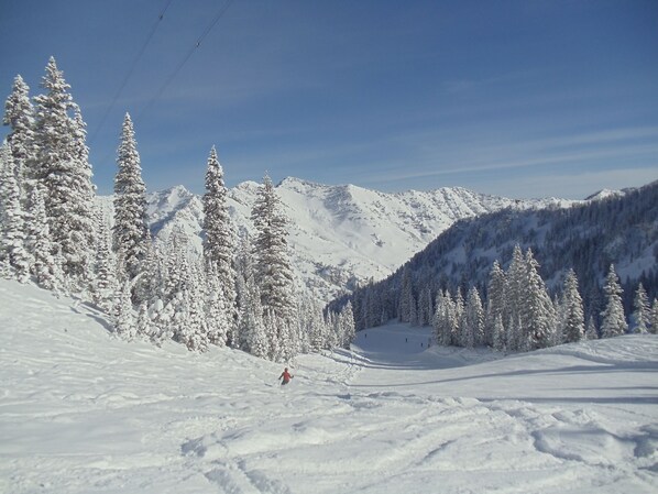 March Powder at Snowbird! The biggest month for Pow!