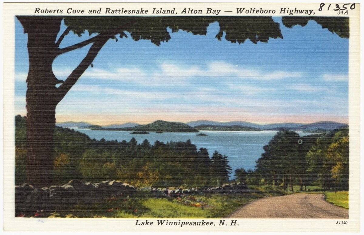 Main Image