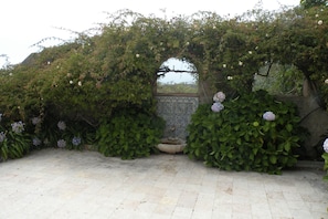 Inner courtyard with fountain