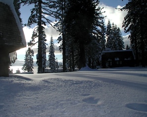 Meadow next to Cabin