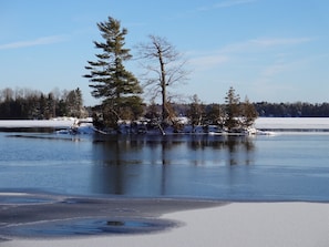 Snake Island in winter 