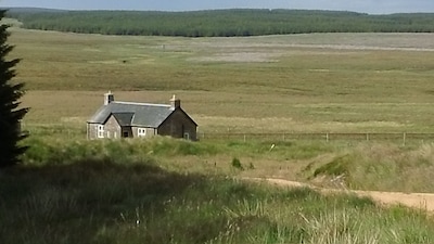 Fernwildnis in Caithness