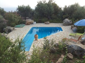 Pool with access steps at front left