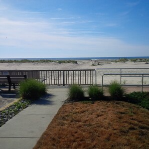 dunes and beach at end of street