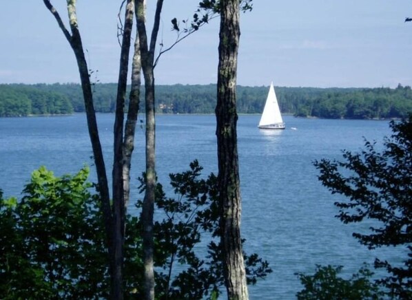 View from back deck