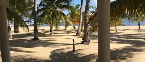 Sandy beach , blue sky,  Palm trees, aqua blue water HOW HEAVENLY!