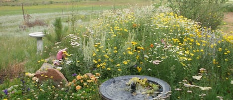 Barrel fountain, Deer Creek Valley in back yard