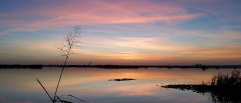 Adorable Florida Getaway, Sunset over Marsh, 10 minutes from House