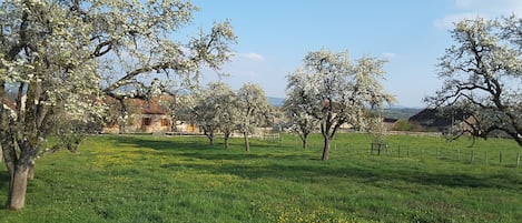 Jardines del alojamiento